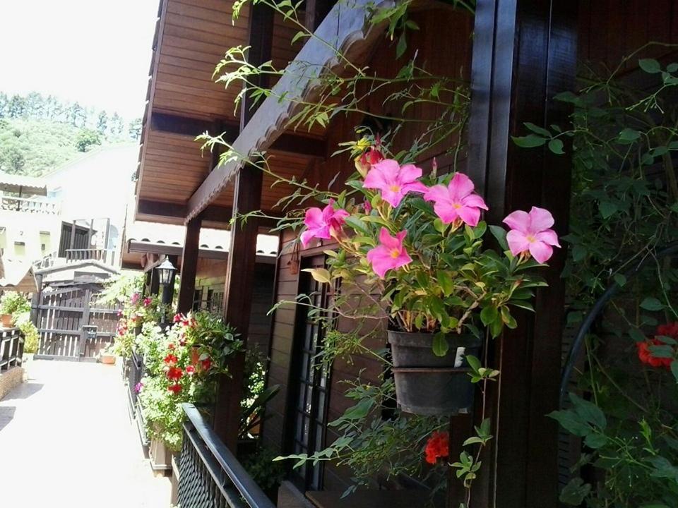 Cabanas Valle Verde Moya  Buitenkant foto